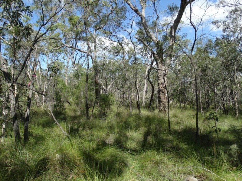 Lot 177 Oceanna Drive, Deepwater QLD 4674