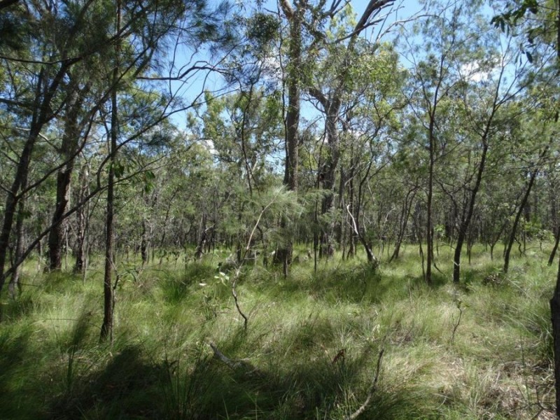 Lot 177 Oceanna Drive, Deepwater QLD 4674
