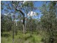 Lot 177 Oceanna Drive, Deepwater QLD 4674