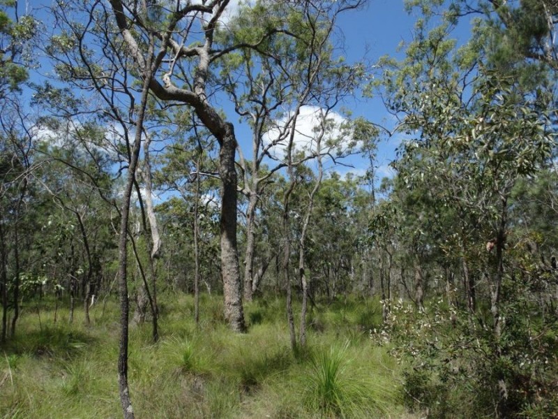 Lot 177 Oceanna Drive, Deepwater QLD 4674