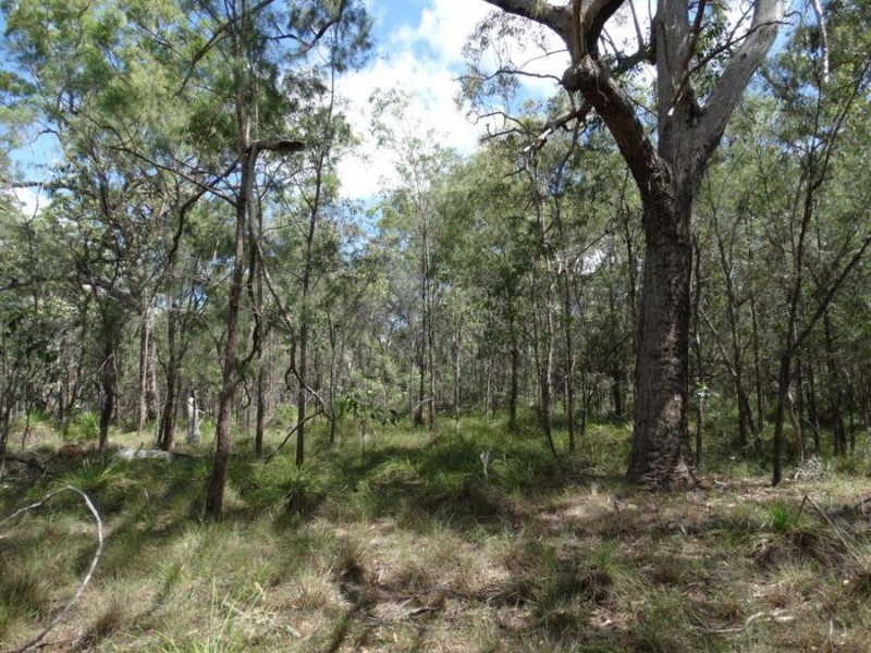 Lot 177 Oceanna Drive, Deepwater QLD 4674