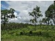 760 John Clifford Way, Lowmead QLD 4676