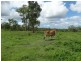 760 John Clifford Way, Lowmead QLD 4676