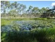286 Matchbox Road, Deepwater QLD 4674
