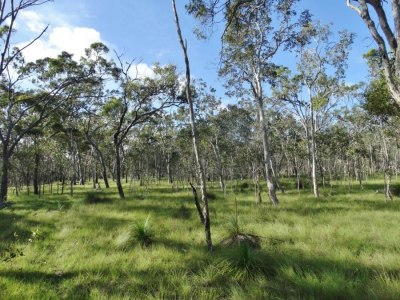 286 Matchbox Road, Deepwater QLD 4674