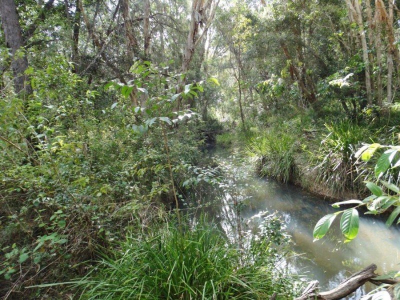 2253 Tableland Road, Berajondo QLD 4674