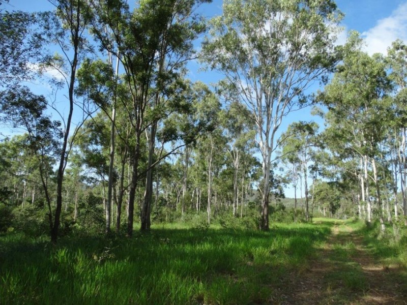 2253 Tableland Road, Berajondo QLD 4674