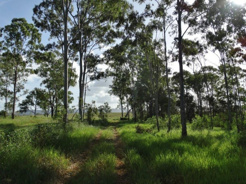 2253 Tableland Road, Berajondo QLD 4674