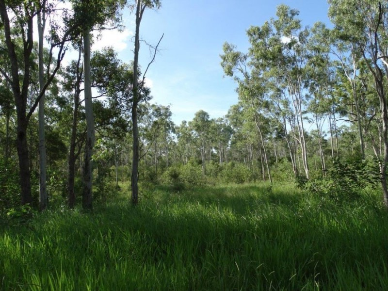 2253 Tableland Road, Berajondo QLD 4674