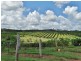 86 Simpsons Road, Bullyard QLD 4671