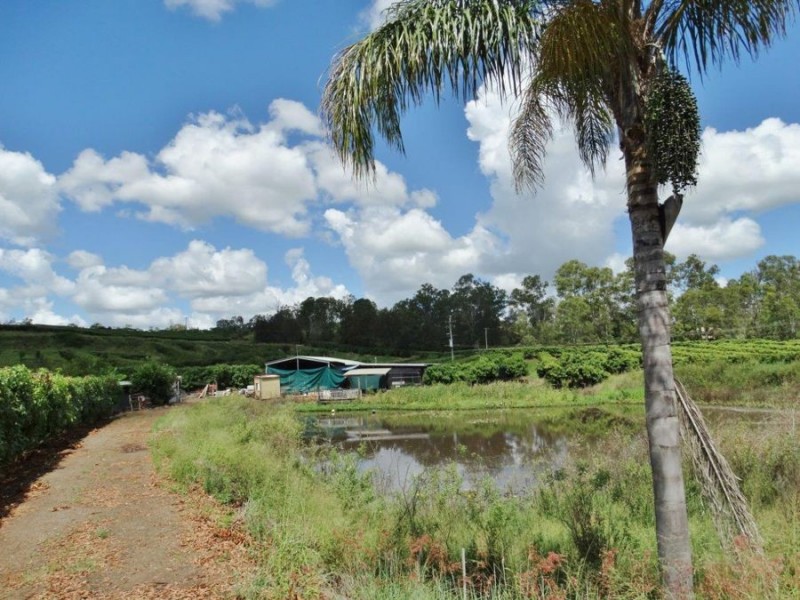 86 Simpsons Road, Bullyard QLD 4671