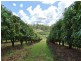 86 Simpsons Road, Bullyard QLD 4671