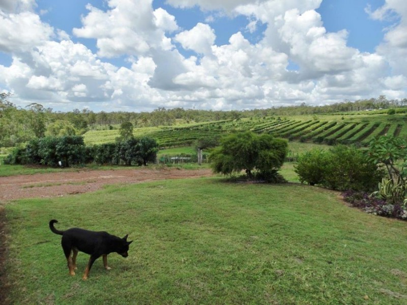 86 Simpsons Road, Bullyard QLD 4671