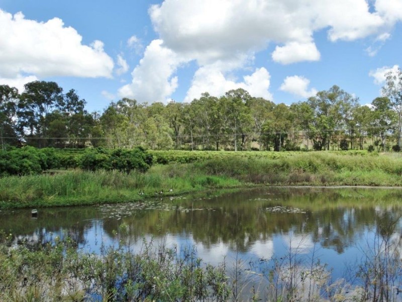 86 Simpsons Road, Bullyard QLD 4671