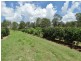 86 Simpsons Road, Bullyard QLD 4671
