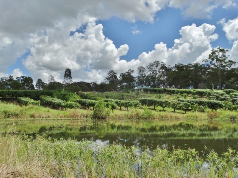 86 Simpsons Road, Bullyard QLD 4671