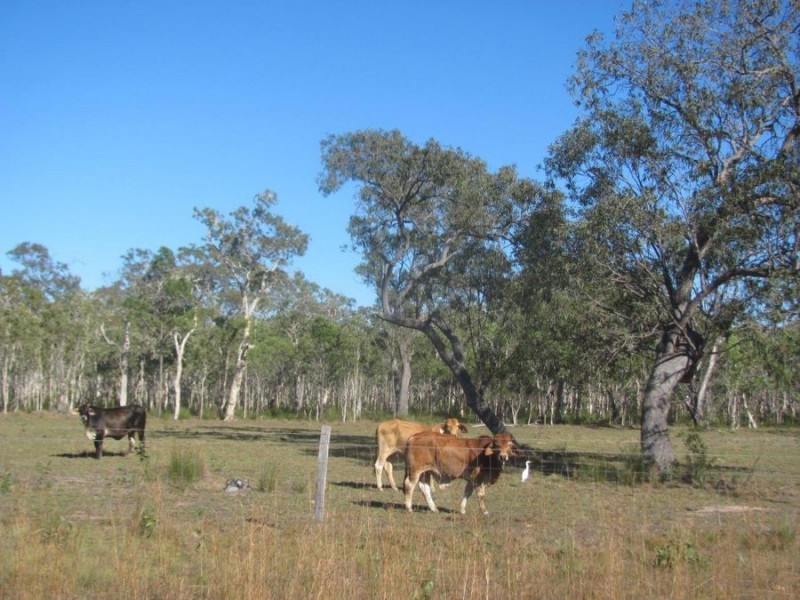 167 DALE DRIVE, Rules Beach QLD 4674