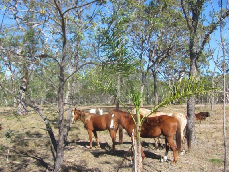 167 DALE DRIVE, Rules Beach QLD 4674