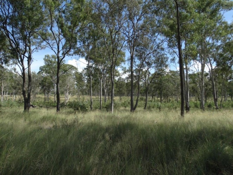 186 Dahls Road, Miriam Vale QLD 4677