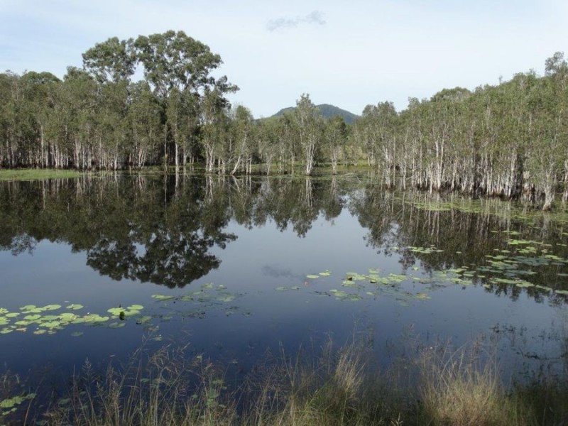 186 Dahls Road, Miriam Vale QLD 4677