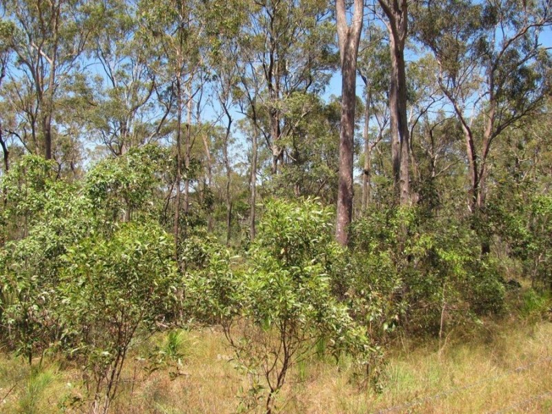 1345 Tableland Road, Mount Maria QLD 4674