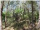 1345 Tableland Road, Mount Maria QLD 4674