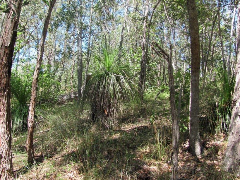 1345 Tableland Road, Mount Maria QLD 4674