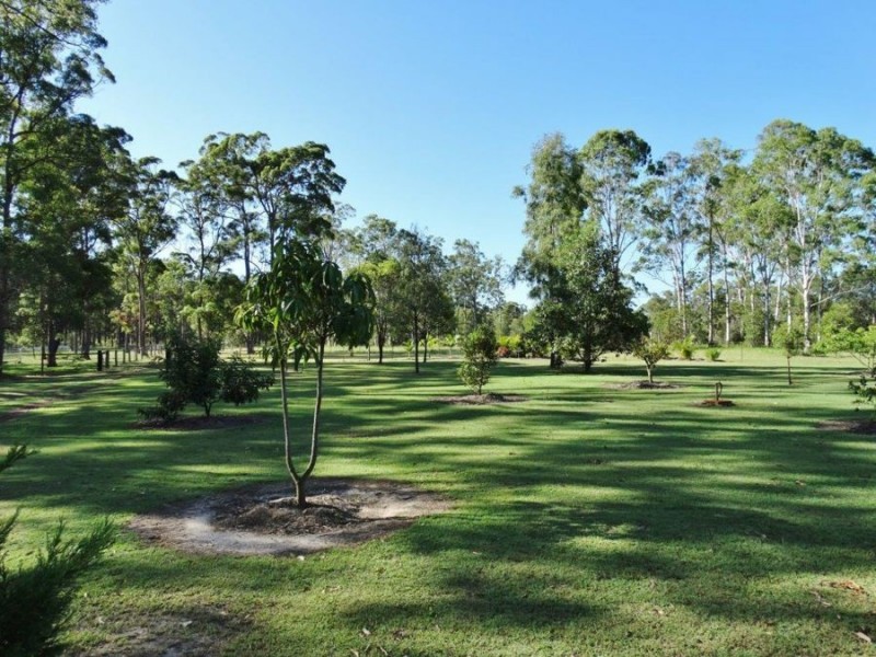 21 Bindara Court, Mullett Creek QLD 4670