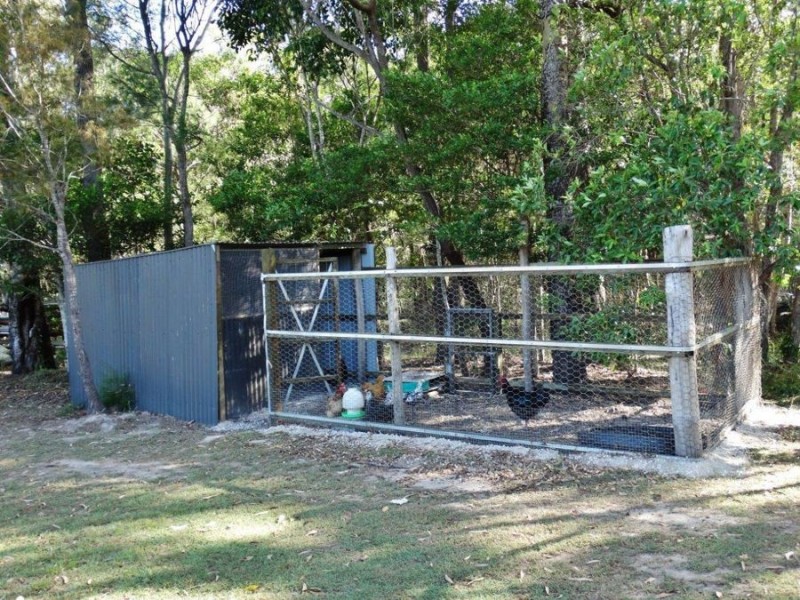 21 Bindara Court, Mullett Creek QLD 4670