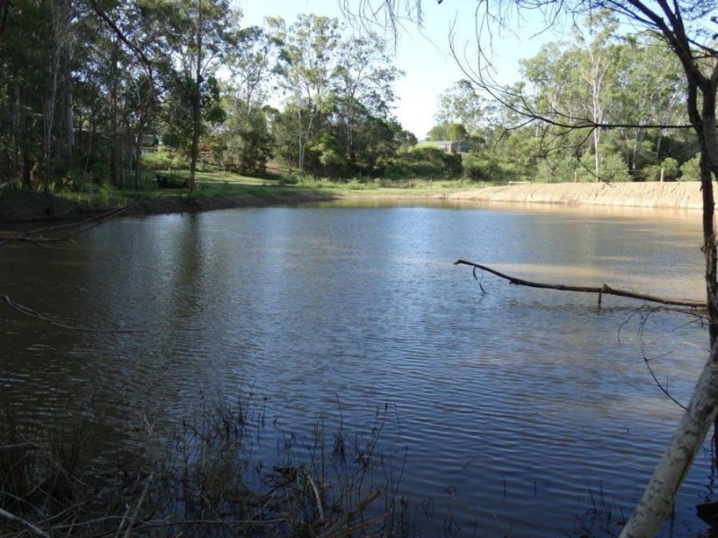 21 Bindara Court, Mullett Creek QLD 4670