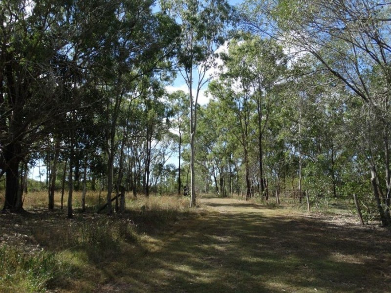 350 Oyster Creek Road, Oyster Creek QLD 4674