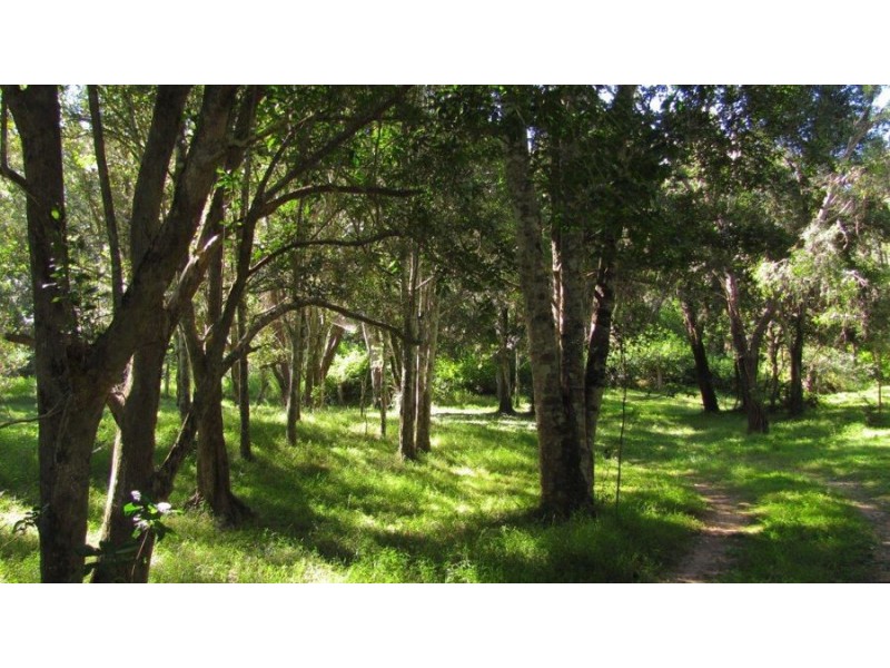 Lot 2 Walkers Crossing Road, Mount Maria QLD 4674