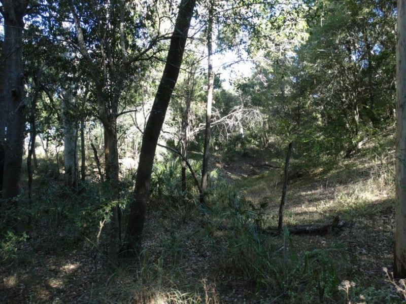 Lot 2 Walkers Crossing Road, Mount Maria QLD 4674