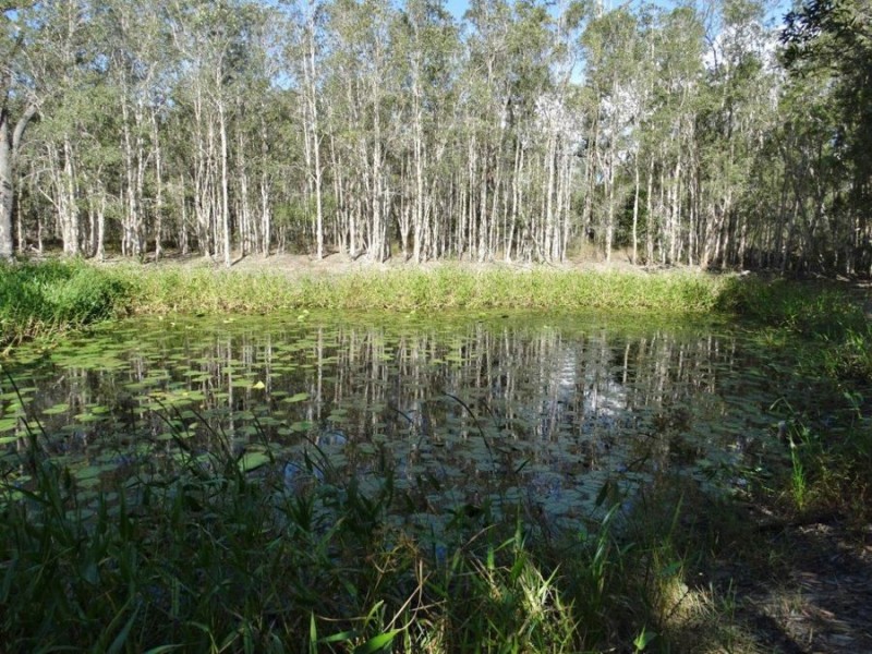 333 Muller Road, Baffle Creek QLD 4674