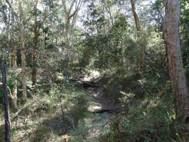 333 Muller Road, Baffle Creek QLD 4674