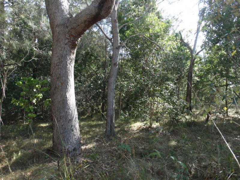 333 Muller Road, Baffle Creek QLD 4674