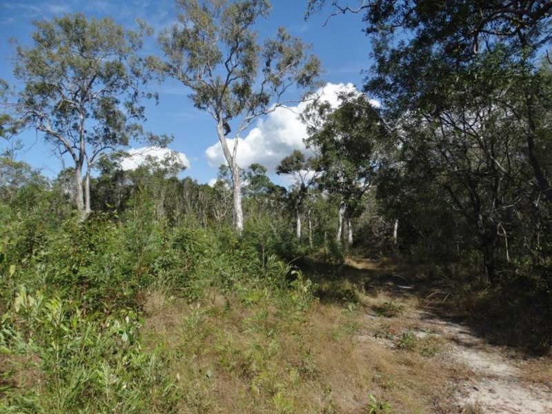 333 Muller Road, Baffle Creek QLD 4674