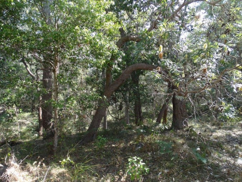 333 Muller Road, Baffle Creek QLD 4674