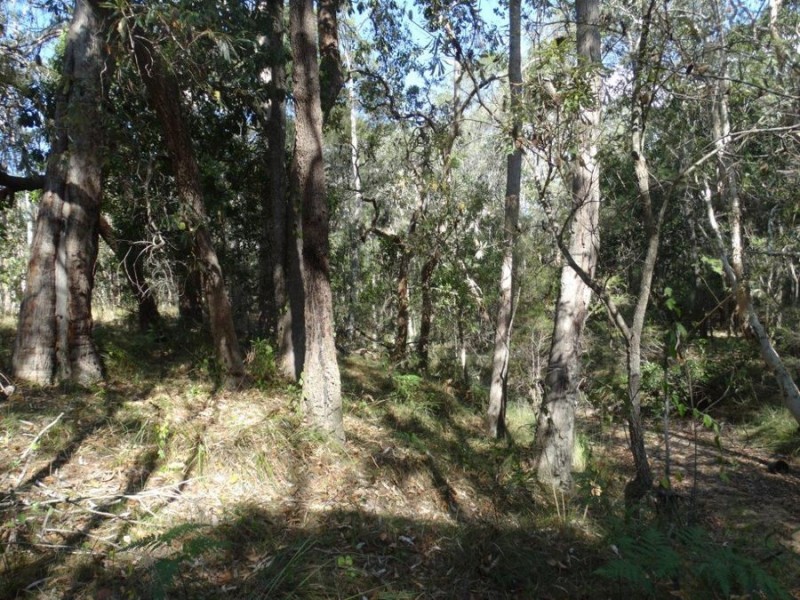 333 Muller Road, Baffle Creek QLD 4674