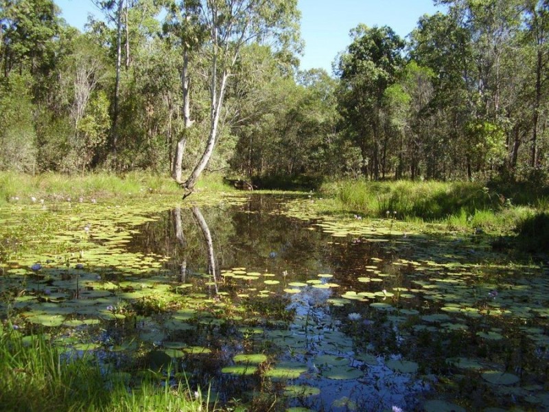 Lot 1 Brauers Road, Mount Maria QLD 4674