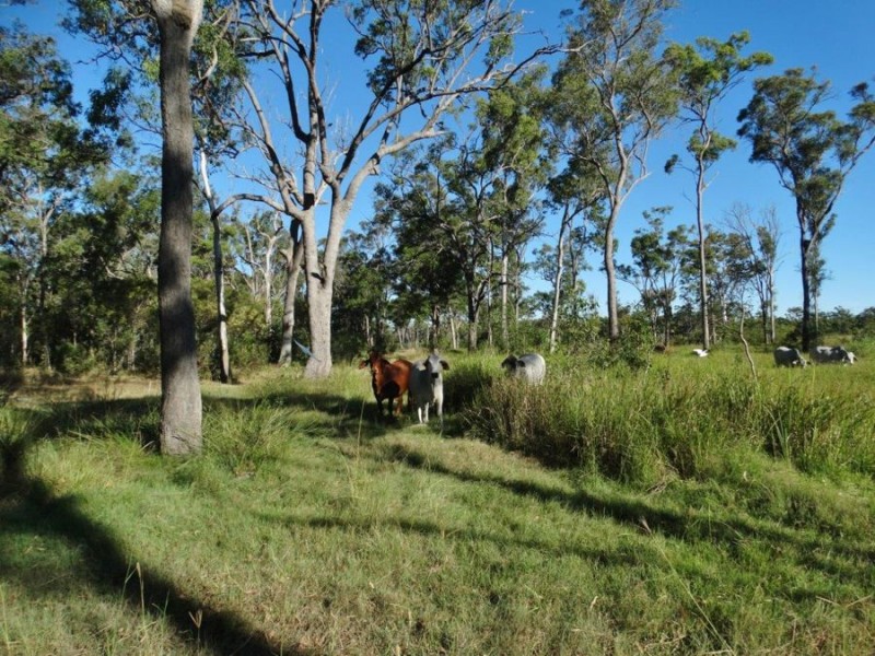 2648 Gin Gin Road, South Kolan QLD 4670