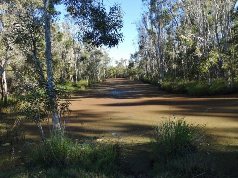 2648 Gin Gin Road, South Kolan QLD 4670