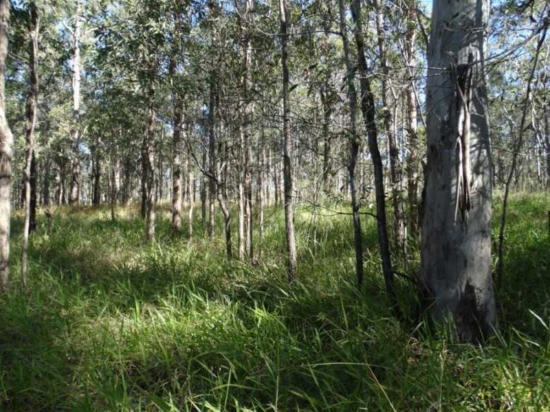 2153 Tableland Road, Berajondo QLD 4674