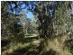 2153 Tableland Road, Berajondo QLD 4674