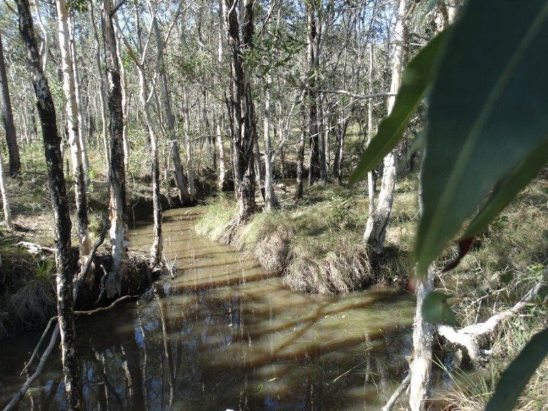 Lot 47 Whytallabah Road, Euleilah QLD 4674