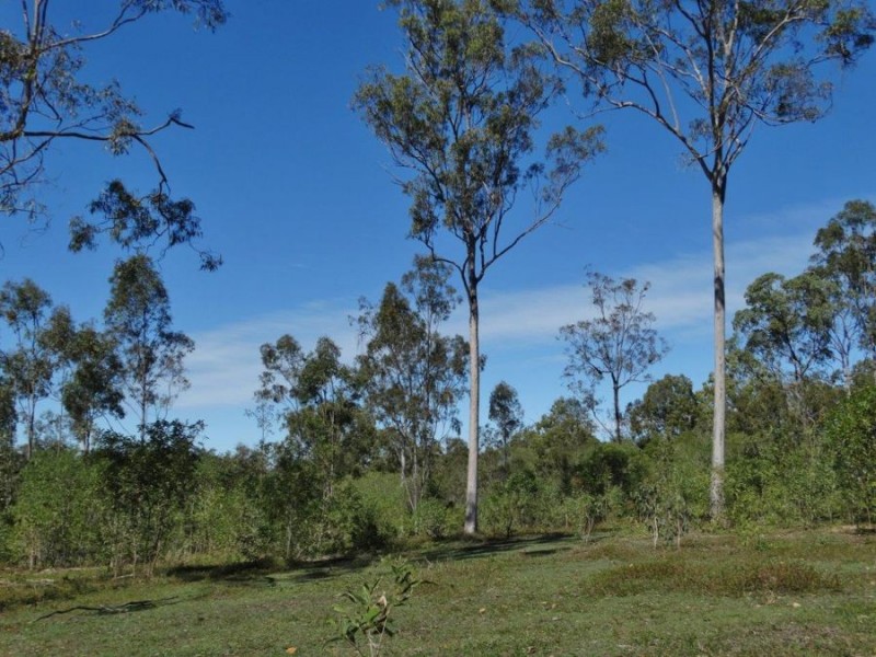1283 John Clifford Way, Lowmead QLD 4676