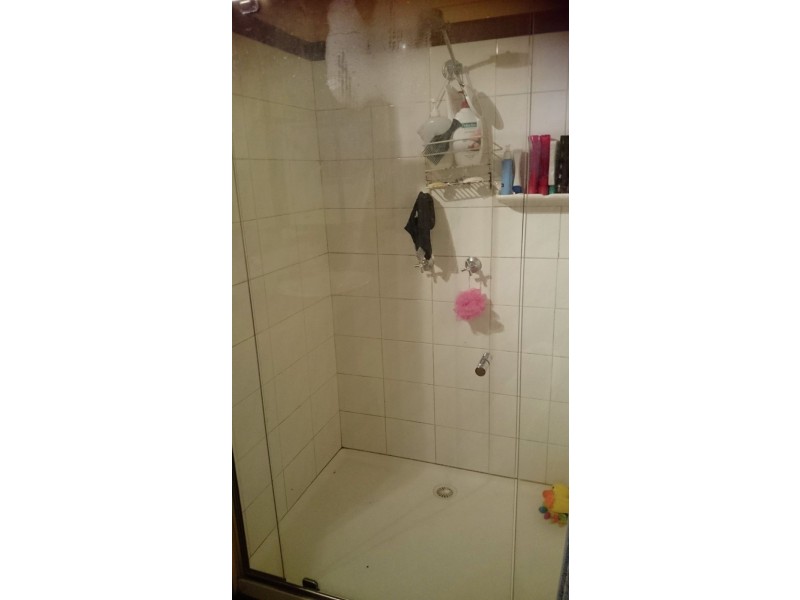 271 Quarry Road, Avondale QLD 4670