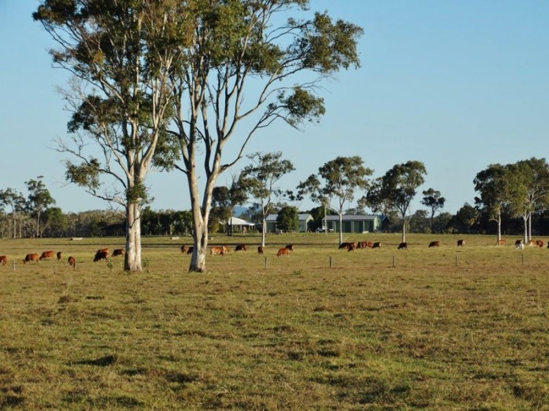 108 Kenree Road, Rosedale QLD 4674