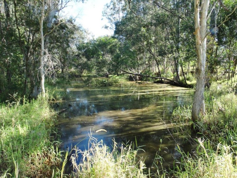 166 Mattons Road, Avondale QLD 4670