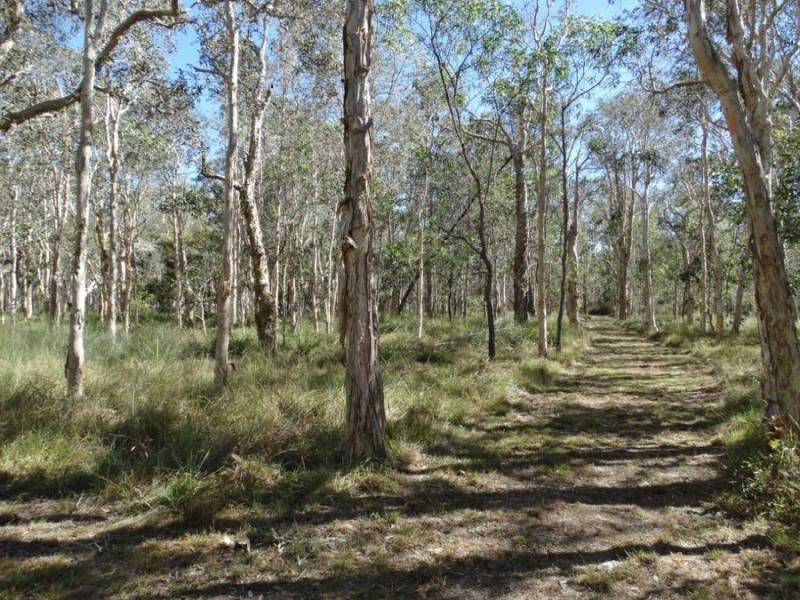 Deepwater QLD 4674